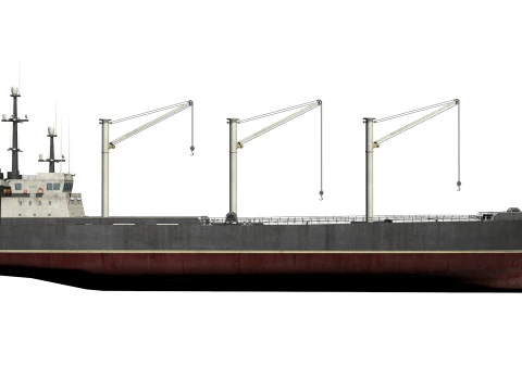Toplu taşıyıcı 3D Model