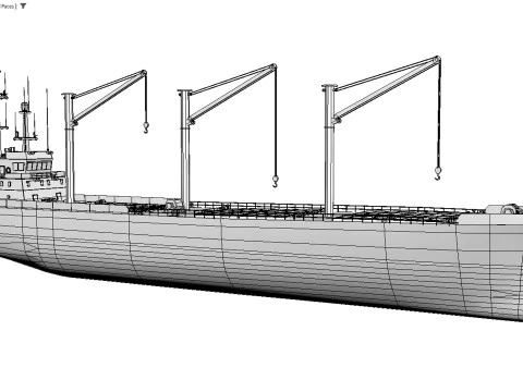 Toplu taşıyıcı 3D Model
