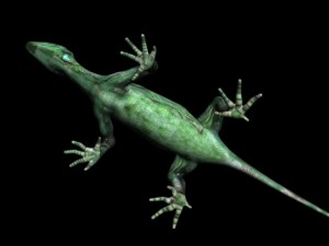 fictional reptile 3D Model