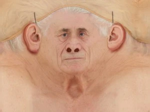6 x head bundle 3D Model