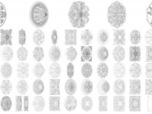 pearlworks medallions collection 3D 模型