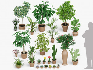 architectural debris plants 3Dモデル