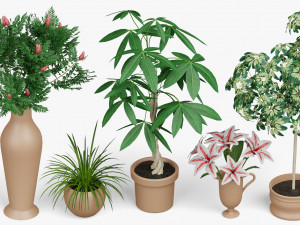 architectural debris plants 3Dモデル