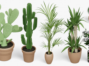 architectural debris plants 3Dモデル