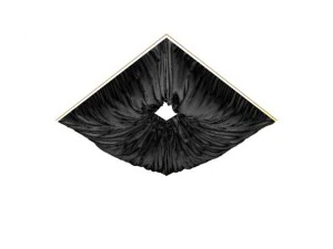 curtain to the ceiling 3D Model