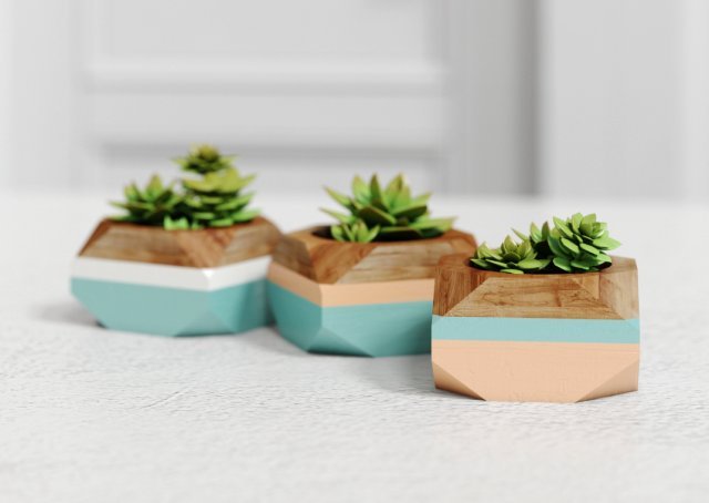plants 3D Model .c4d .max .obj .3ds .fbx .stl .blend 