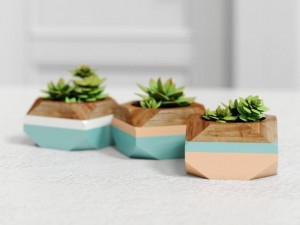 plants Modelo 3D