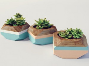 plants 3D Model