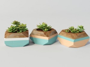 plants 3D Model