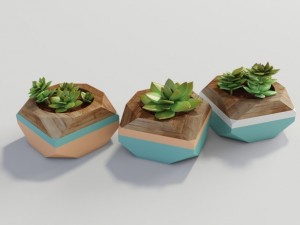 plants 3D Model