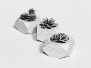 plants 3D Model