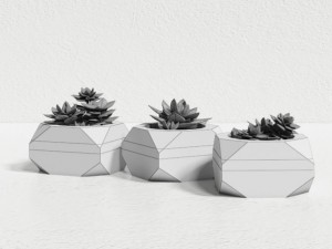 plants 3D Model