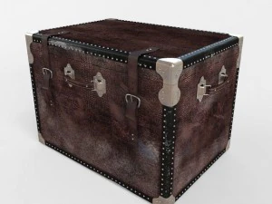 старый багажник 3D Модель