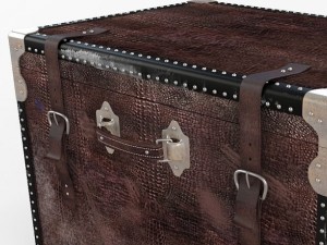 old trunk Modelo 3D