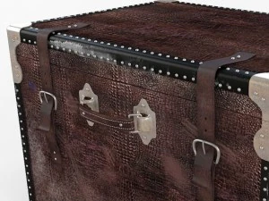 old trunk 3D Model