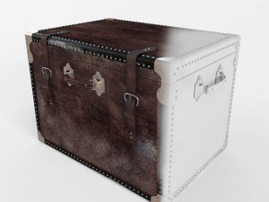 old trunk Modelo 3D