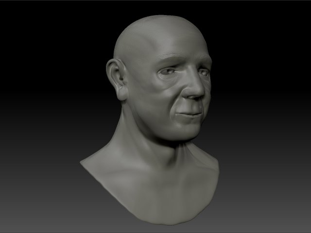 human bust 3D Model .c4d .max .obj .3ds .fbx .stl .blend 