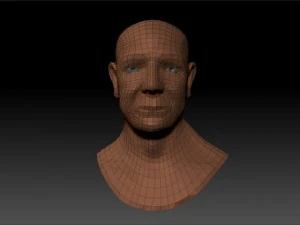 human bust 3D Model
