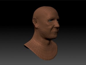 human bust 3D Model