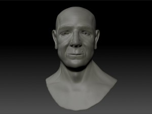human bust 3D Model