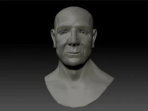 human bust 3D Model