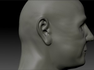 human bust 3D Model