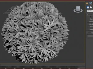 krasivijkust 3D मॉडल