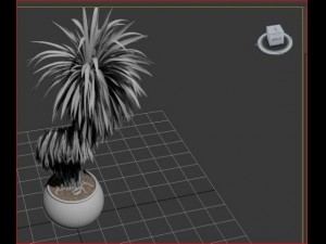 flower Model 3D