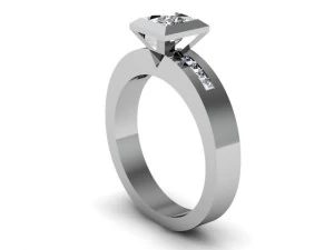 公主之爱结婚戒指 3D 打印模型