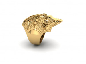 Space Bug Ring R1 3Dモデル