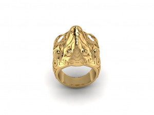 Space Bug Ring R2 Modello 3D