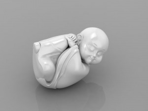 Baby Budha B14 3D-printmodel