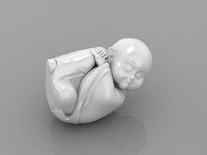 Baby Budha B14 3D Print Model