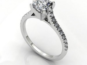 felicience ring Model 3D