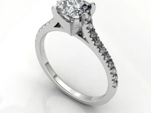 anillo de felicidad Modelo 3D