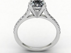 felicience ring Model 3D