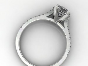 felicience ring Model 3D