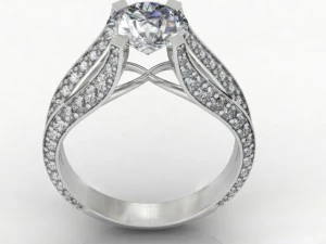 anello delle quattro stagioni Modello 3D