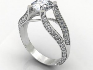 four seasion ring 3D Model