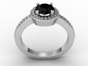 havenly Model 3D