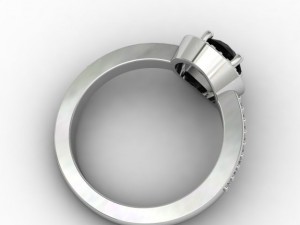 havenly Model 3D