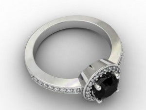 havenly Model 3D