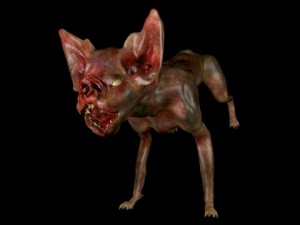 vampire cat Model 3D