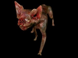 vampire cat Modelo 3D