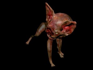 vampire cat Modelo 3D