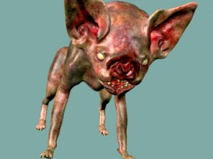 vampire cat Modelo 3D