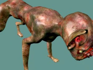 gatto vampiro Modello 3D