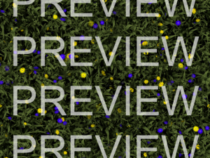 seamless grass texture Texturas CG