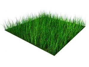 grass block  05x05m 3D Model