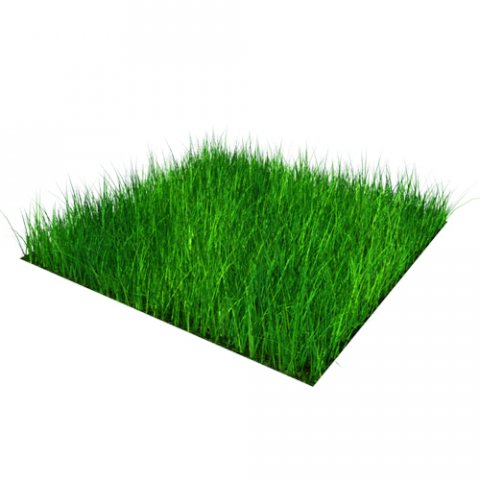 grass block high density 05x05m 3D Model .c4d .max .obj .3ds .fbx .stl .blend 